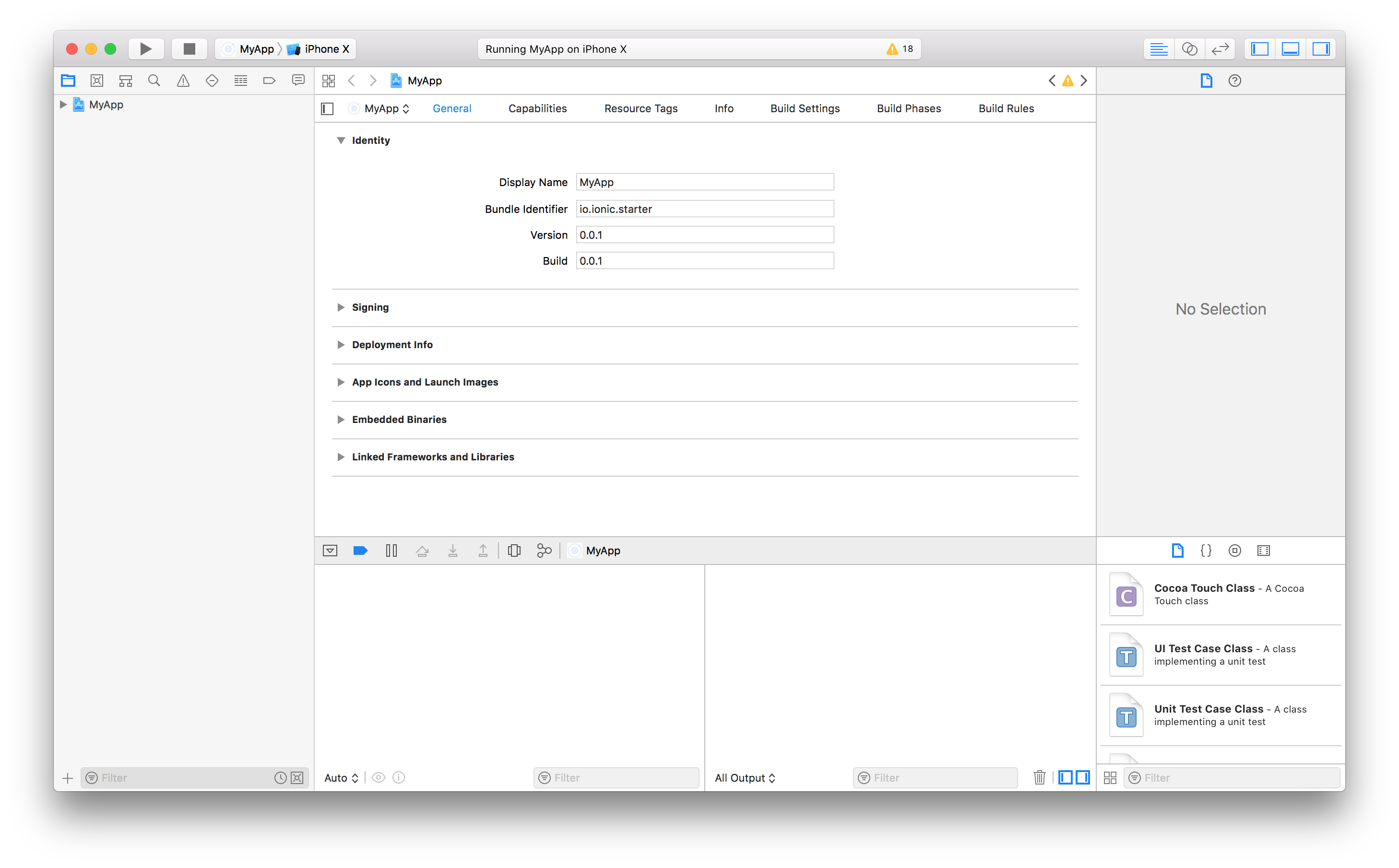 Xcode showing the Identity section for an iOS app with fields for Display Name, Bundle Identifier, Version, and Build.